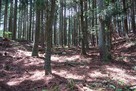 長嶺城 屋敷跡