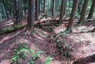 長嶺城 大手筋