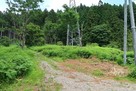 長嶺城 城址へ向かう道…