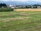 政庁跡