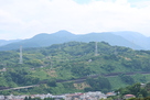 石垣山城