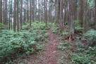 津具城 登城道の様子…