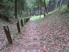 仙年寺裏に出る登山道…