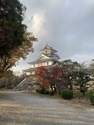 南東より天守を望む…