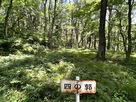 四の廓
