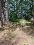 土塁