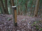 搦手門跡