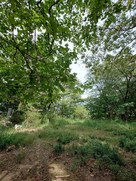 要害山城 本郭部…