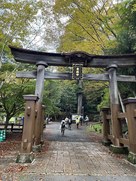 鳥取東照宮鳥居…