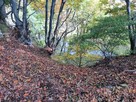 石並城東側の竪堀