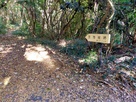 生池城跡　約200m