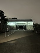 ライトアップされた坂下門…