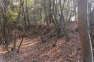 土塁