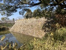 大和郡山城・竹林橋から坤櫓跡石垣を望む…