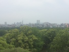 天守跡からの福岡タワー、ヤフオクドーム…