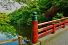 水濠の風景