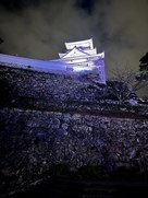 夜の鉄門前から見た本丸石垣と天守…