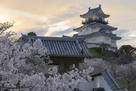 天守近景、桜・薄暮…