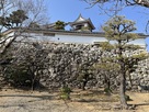 太鼓櫓跡から見た本丸石垣南面…