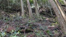登城道