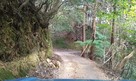 木戸神社横からの道路…