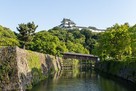 新緑に包まれる紀州の名城…