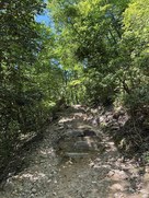 駅裏登山道