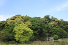 山頂に見える石垣…