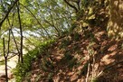 甘崎城 南郭に至る城道？…