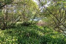 甘崎城 南郭の南端…