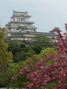 満開の八重桜と共に…