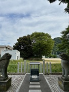 気比神宮土公からの天筒山城遠景…