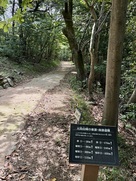 天筒休憩広場の分岐…