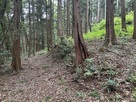 南の曲輪（左）と五の曲輪