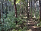 尾根筋