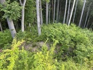 二重堀切
