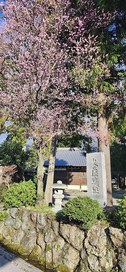 城跡の石碑