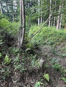 主郭東面の堀切…