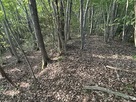 2段になった曲輪…