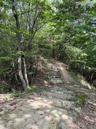 主要部南側の堀切…