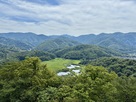 中池見