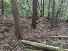 二郭の土塁