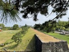西側土塁石垣(天守台から)…