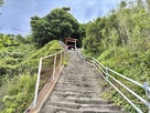 西山麓からの城趾…