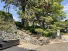 本丸西側の土塁…