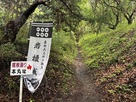 登城道