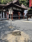 秀吉出世石