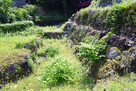 織田信長公居館跡 石垣…