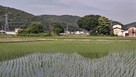 二の丸遠景