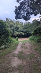 本丸と二の丸を繋ぐ土橋…